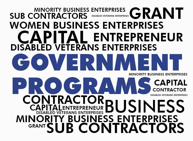 Government Programs